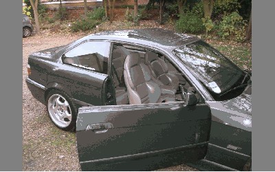 mpower5.JPG