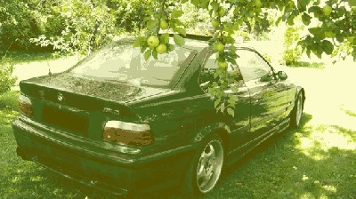 SNV83282.jpg